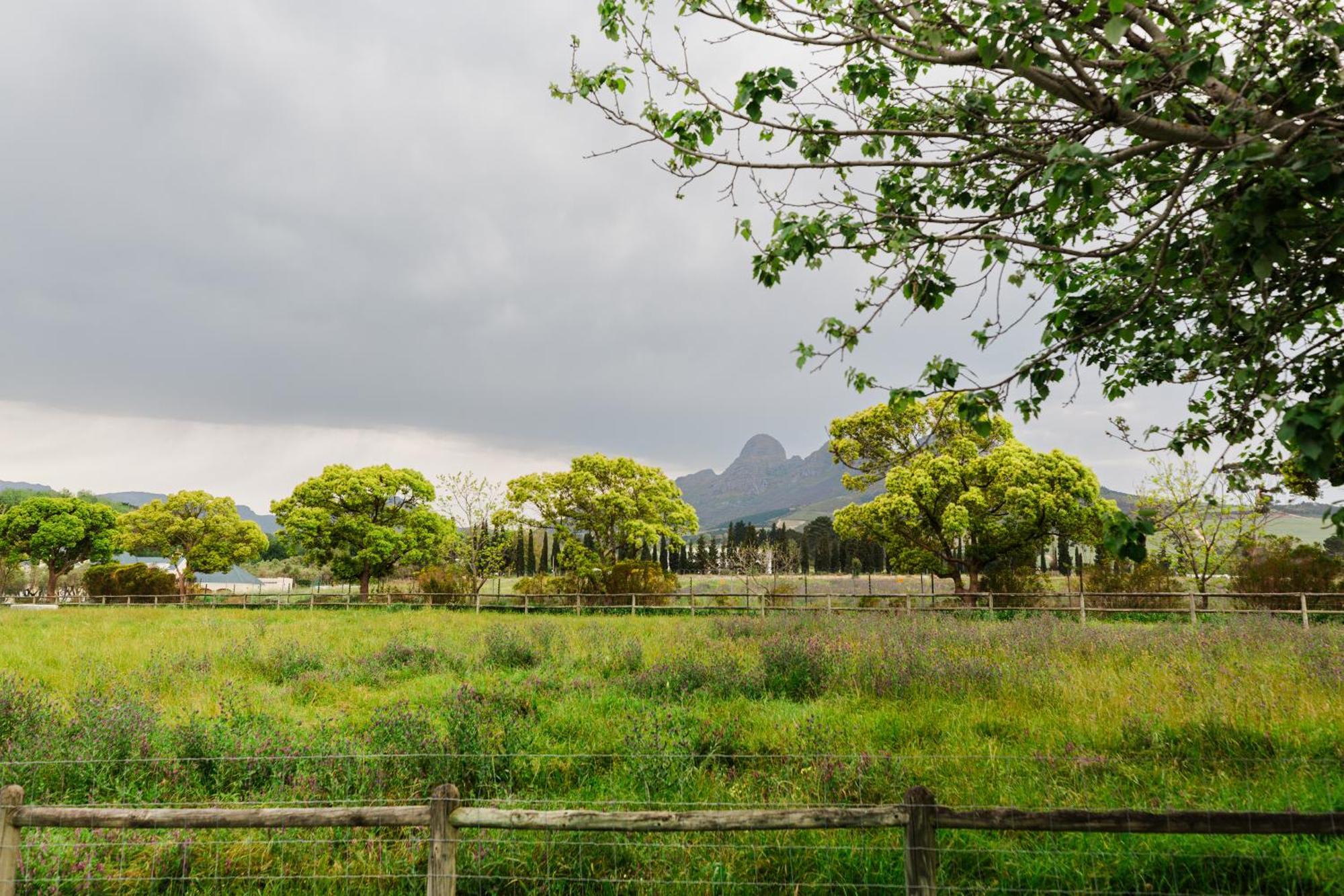 Bed and Breakfast Marshden Estate Stellenbosch Exterior foto